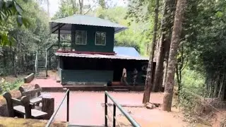 Rockwood | forest stay  | Shendurney Forest | Shenthurney wildlife sanctuary | വനത്തിലെ കാഴ്ചകൾ