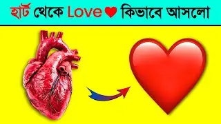 How did the symbol of love ❤️ actually come about? 🫀. Informative