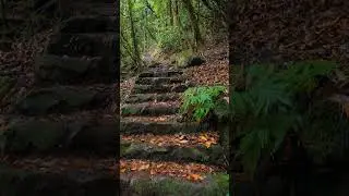 Stay Calm When Are Walking Here Or ..... #travel