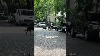 Barrio Ingles 🇬🇧🇦🇷открой столицу Аргентины вместе с Argentina Mama 💙