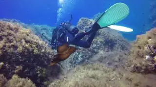 Immersione ustica
