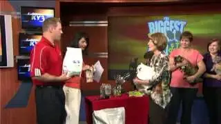 TV News Blooper: Cat Attacks Owner on Live TV
