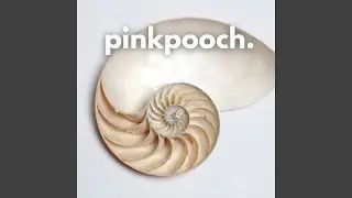 The Pink That Never Sleeps
