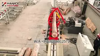 Automatic log cutting line- chain saw timber sawing line to cut woods and trees