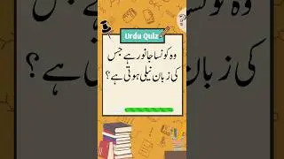 Urdu Quiz | General Knowledge #urdushorts #urdu #quiztime #islamiquiz #quizchallenge #sawaljawab