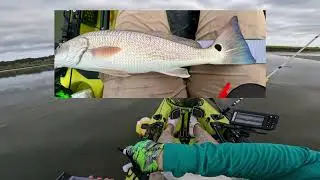 Under slot Redfish at Alimacani boat Ramp