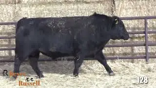 Reyes Russel Lot 128