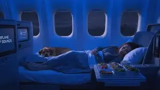 Airplane Sounds for Sleep | Calming Cabin White Noise All Night