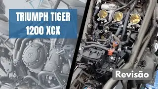 Defeitos elétricos e mecânicos!🤨 Revisão Triumph Tiger 1200 XCX. Onde estava o fluido de freio?