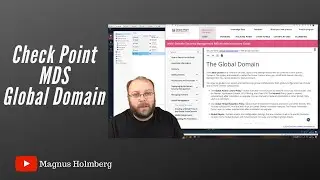 Check Point MDS | R80.30 Global Domain