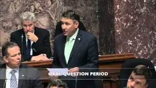 MLA Nic Simons questions minister of MCFD about mishandling of child placement case