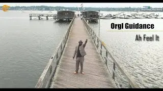 Orgl Guidance - Ah Feel It (Director's Cut)