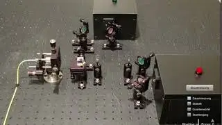 Quantenphysik: Quantenzufall einzelner Photonen
