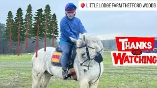 Archie | Video 141 (Little Lodge Farm | Thetford Forest | February 1st 2026 #2)