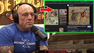Bill Gates' Farmland, Lab-Grown Meat & The Prairie Chicken Crisis! - Best Joe Rogan Podcast