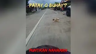 Food Delivery | Davao