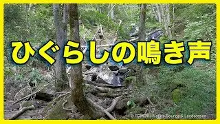 Summer Nature Sounds in Japan / Higurashi (Evening cicada) &  Small Waterfall