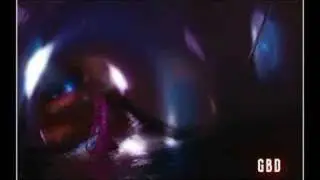 CATCF Chasing Cars Charlie/Wonka