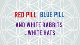 Red Pill Blue Pill and White Rabbits