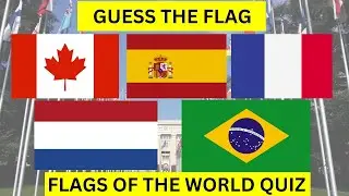 Can You Get a Perfect Score on This Flag Quiz?
