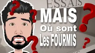 Mes Fourmis sont parties en diapause !
