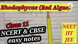 Rhodophyceae | Red Algae| Plant Kingdom | Class 11 | NCERT | CBSE | NEET  | JEE | IIT | part 3.