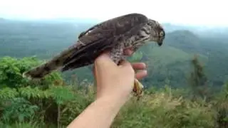 Release of KU 9