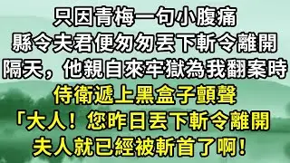 只因青梅一句小腹痛。縣令夫君便匆匆丟下斬令離開。隔天，他親自來牢獄為我翻案時。侍衛遞上黑盒子顫聲「大人！您昨日丟下斬令離開，夫人就已經被斬首了啊！#小说