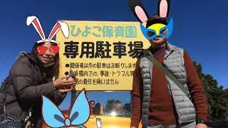 Z Project Tokyo&rsquo;s fun run.Feb9th.2020