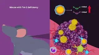 Role of Tet-2 Mutant Immune Cells in Lung Cancer Progression