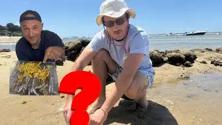 Comment PÊCHER des COUTEAUX de mer avec du sel et comment les CUISINER et MANGER #peche #pecheapied