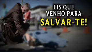 Salvação das almas, eis a missão do Sacerdote!