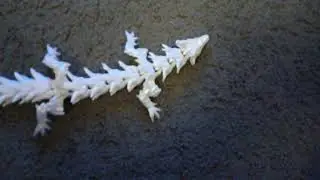 white dragon finding for the meaning of life