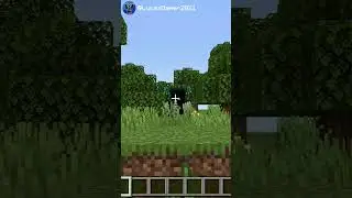 Minecraft Moment ☠️ - #minecraft #logic #memes #funny #trending #subscribe #trend #edit #shorts