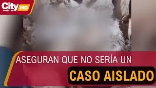 Animalistas piden a autoridades ambientales seguimiento a cráneos de animales en Bogotá | CityTv
