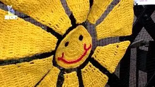 Yarnboming 2 Knitted Sunshines , Cambridge.