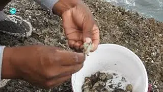 Как воплотить морскую блоху на крючке | Простая техника рыбалки