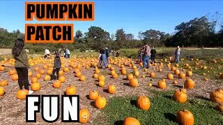 PUMPKIN PATCH PICKING WITH THE FAMILY - ELMWOOD PUMPKIN FARM - LONG ISLAND, NY