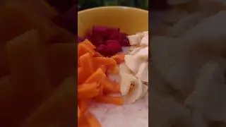 a Healthy Bite. #shorts #shortvideo