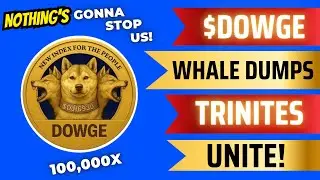 🚨DOWGE🚨 MASSIVE WHALE DUMP LEADS TO CHAOS!! WHAT SHOULD YOU DO NEXT?? TRINITES UNITE!!💪