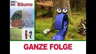 20 Bäume: Theo, Tess und Quentin in WAS IST WAS TV - Ohne Wissensteil