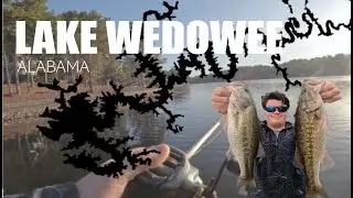 Searching Lake Wedowee for BIG bass (Tallapoosa River)