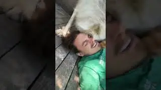 He&rsquo;s soooooo affectionate