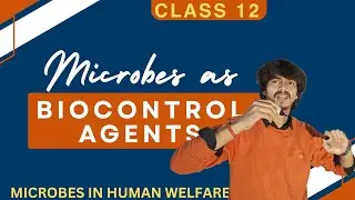 Microbes as Biocontrol Agents | Class 12 Biology | Exam Booster🚀 #class12 #cbse #biharboard #biology