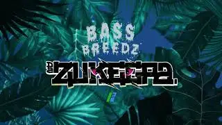 Bass Breedz with da Zukeepa on Bassport.TV - March 2021 Jump-up DnB Set