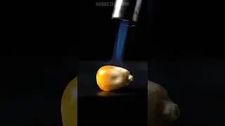 Popcorn Kernel Explodes in Slow Motion 🍿🔥 | Ultra Macro ASMR