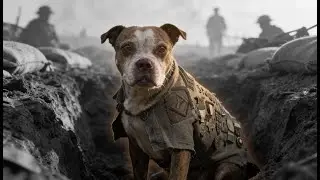 A Dog of War: Sergeant Stubby and the Battle of Ch&acirc;teau-Thierry