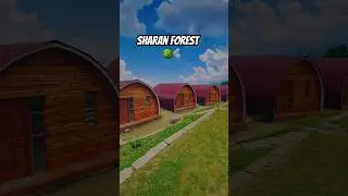 Eye Catching View Beautiful Huts Sharan Forest Kaghan Valley Pakistan 🇵🇰
