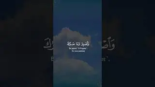 Beautiful Quran Recitation With Nature Visuals