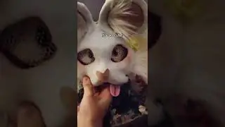 Making a mouse mask pt. 2!!!! #therian #artartist #theriantropy #furry #mouse #therianmask #pride